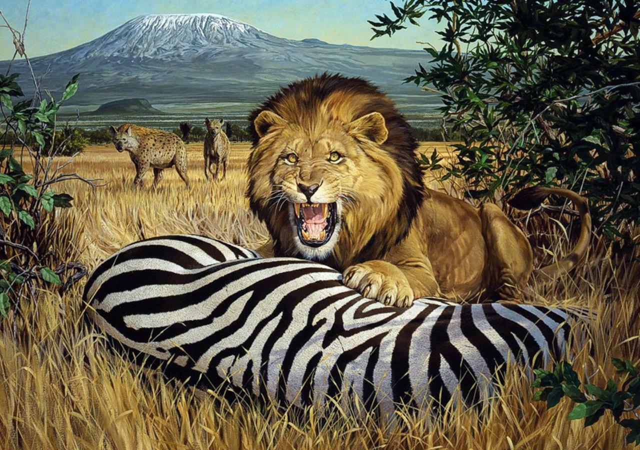 Aa Lodge Amboseli Exterior photo