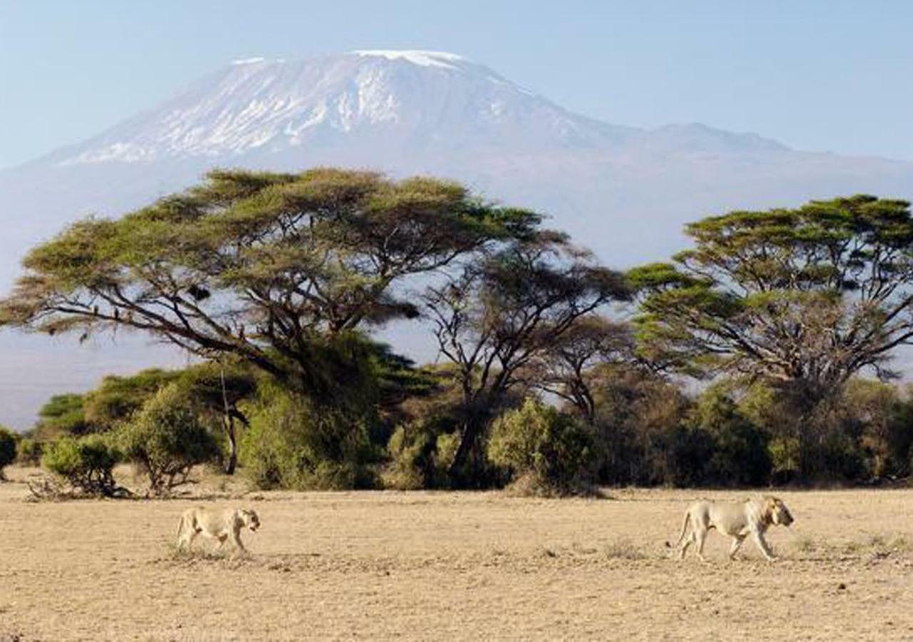 Aa Lodge Amboseli Exterior photo