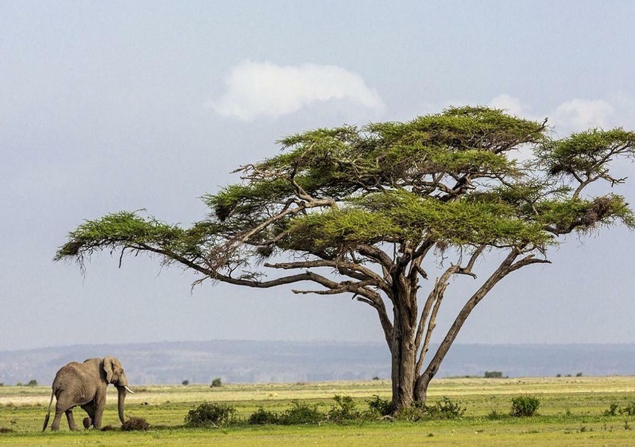 Aa Lodge Amboseli Exterior photo